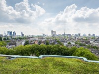 Groen dak Rotterdam.jpg