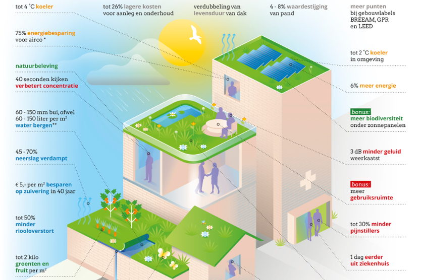 Factsheet groene daken.png