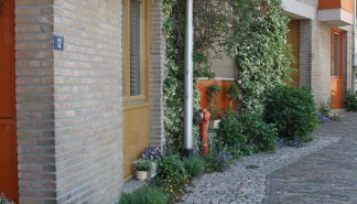 Geveltuin_5.JPG