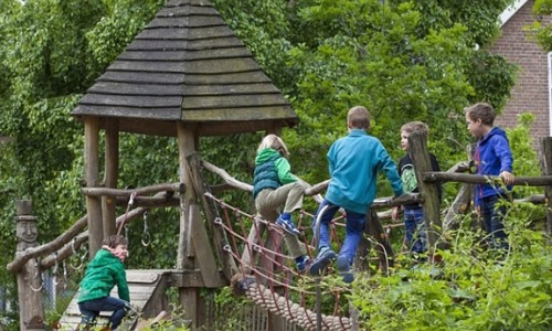 groen bij schoolpleinen.jpg