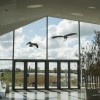 Biesbosch Museumeiland