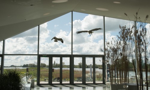 Biesbosch Museumeiland