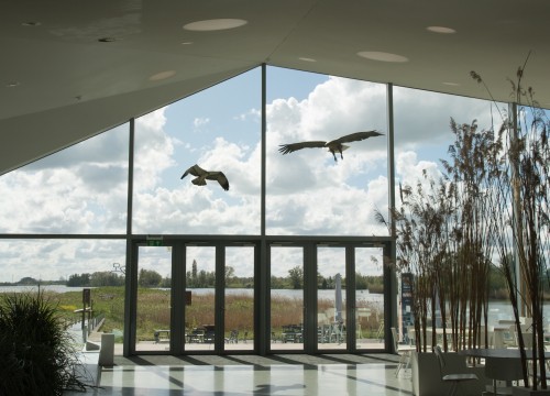 Biesbosch Museumeiland