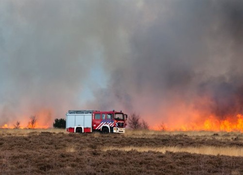 natuurbrand