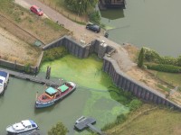 droogte blauwalg Maas_Foto Taco van Manen .jpg