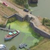 droogte blauwalg Maas_Foto Taco van Manen .jpg