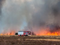 Natuurbrand met wagen.jpg