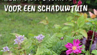 Schaduw tuin.png
