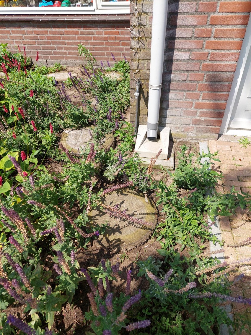 Rijsbergen Bremakker afkoppelen