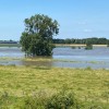 Hoogwater juli 2021 Maas