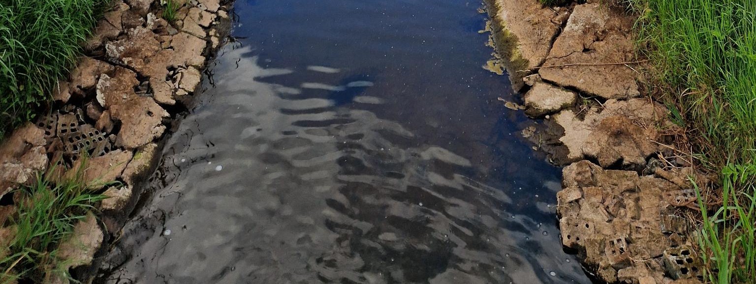 Beek tijdens droogte (Stichting CAS, 2025).jpeg