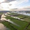 hoogwater_maas_bij_empel_2024