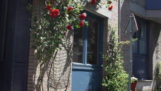 Geveltuin_1.JPG