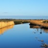Water in Nederlands landschap
