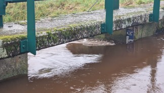 20250125 Hoge waterstand in beek (Menno, Hilvarenbeek).jpeg
