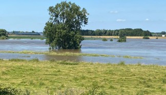 Hoogwater in de Maas juli 2021 (fotograaf Mariëlle van der Wijngaard - vrij gebruiken_1.jpeg