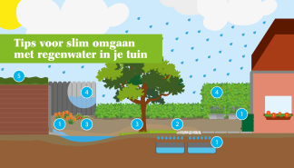 Tips voor slim omgaan met regenwater in je tuin.png