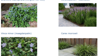 Makkelijke vaste planten.png