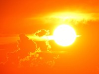Zon