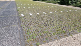 Doorlatende verharding (Stichting CAS, 2024).jpg