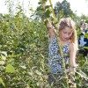 Tiny Forest Zaandam - foto Jessica de Lepper (1).jpg