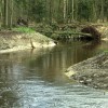 Tongelreep.jpg