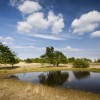 Droogte De Plateaux