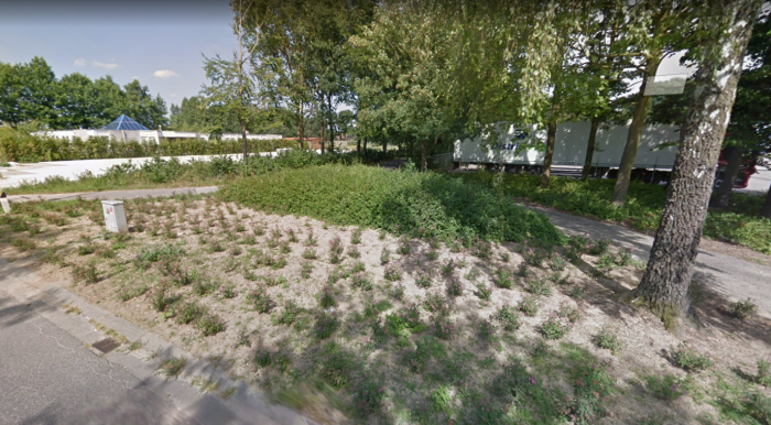 Tijdelijke natuur