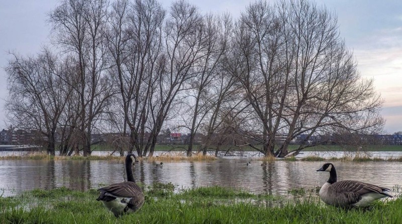 Hoog water.jpg