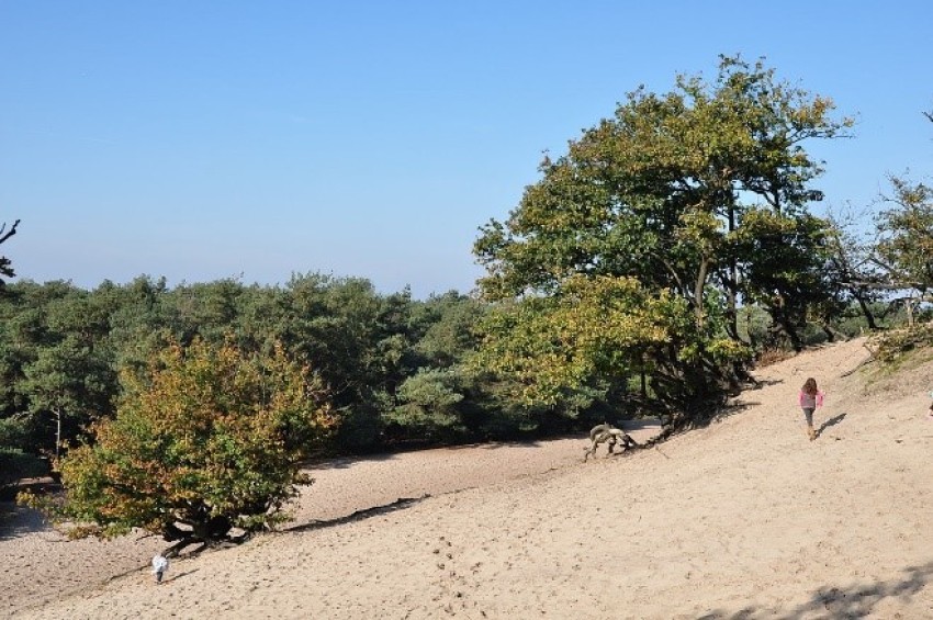 Foto bericht Brabant.jpg