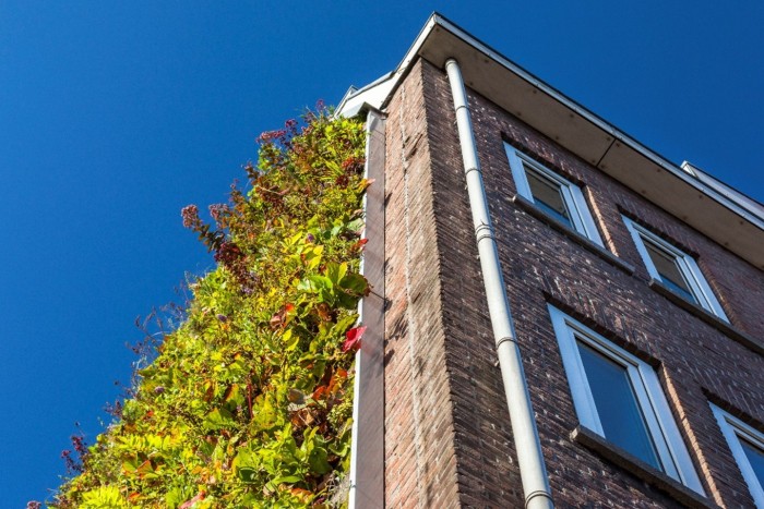 Voorbeelden van adaptiemaatregelen