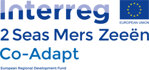 Logo_Co-Adapt
