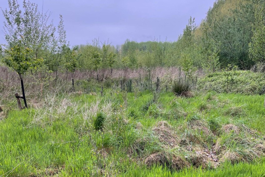 Voedselbos Schijndel