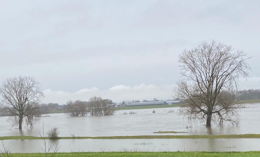 Uiterwaarden aan de Maas, februari 2021 (Marielle) 6