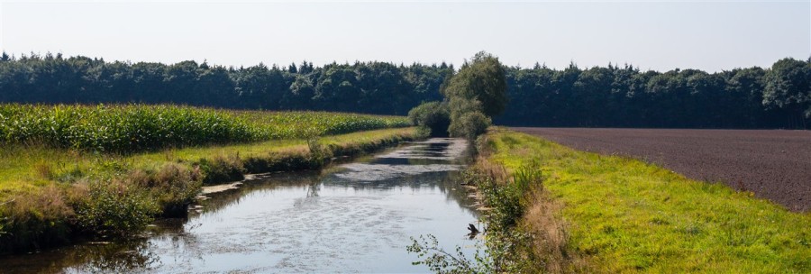 Beekdal