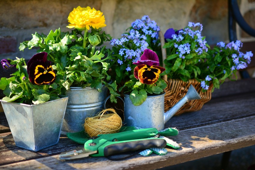 Bloemen