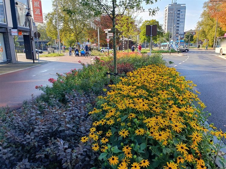 Berm met bloemen