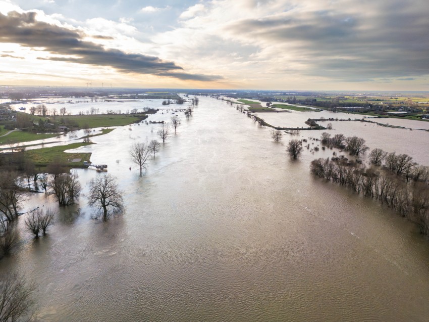 Maas ter hoogte van Blauwe Sluis
