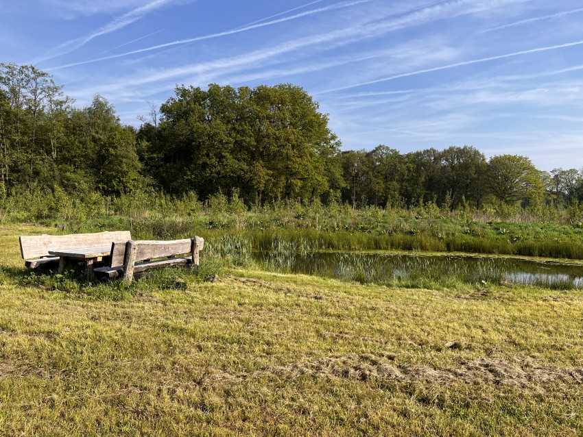 Voedselbos Lage-Mierde