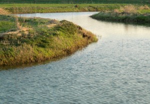 How scale matters in joint knowledge production for nature-based solutions