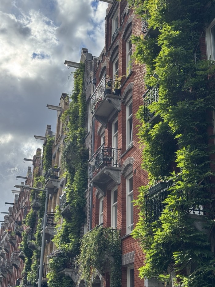 Groene gevel in Amsterdam