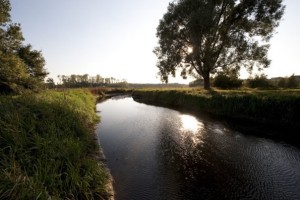 Transition and knowledge tools for adaptive water management