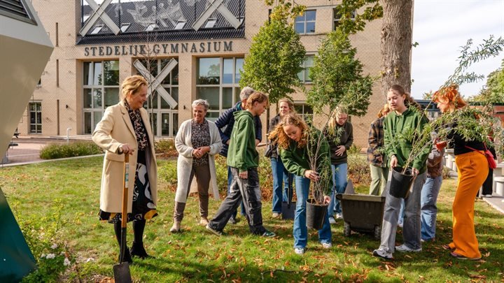 Groen schoolplein