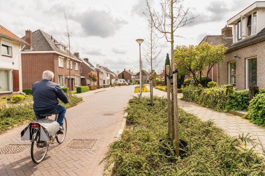 Groene buurt (natuurladder)