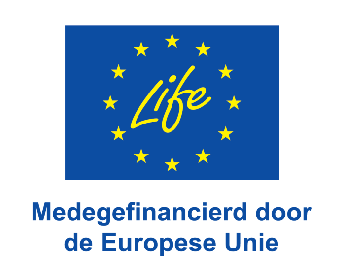 Medegefinancierd door de Europese Unie