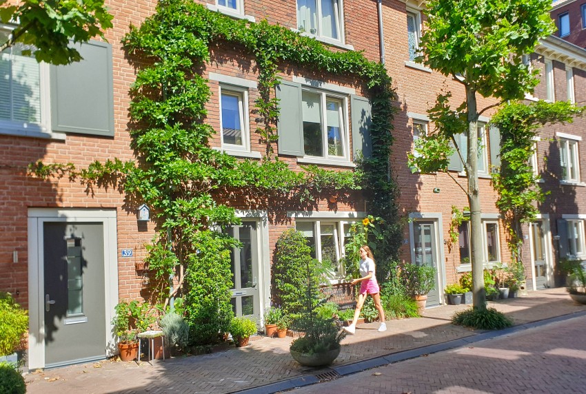 Klimplanten in Houten (fotograaf Nanda Sluijsmans