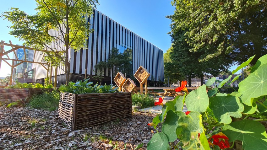 Groen_Schoolplein