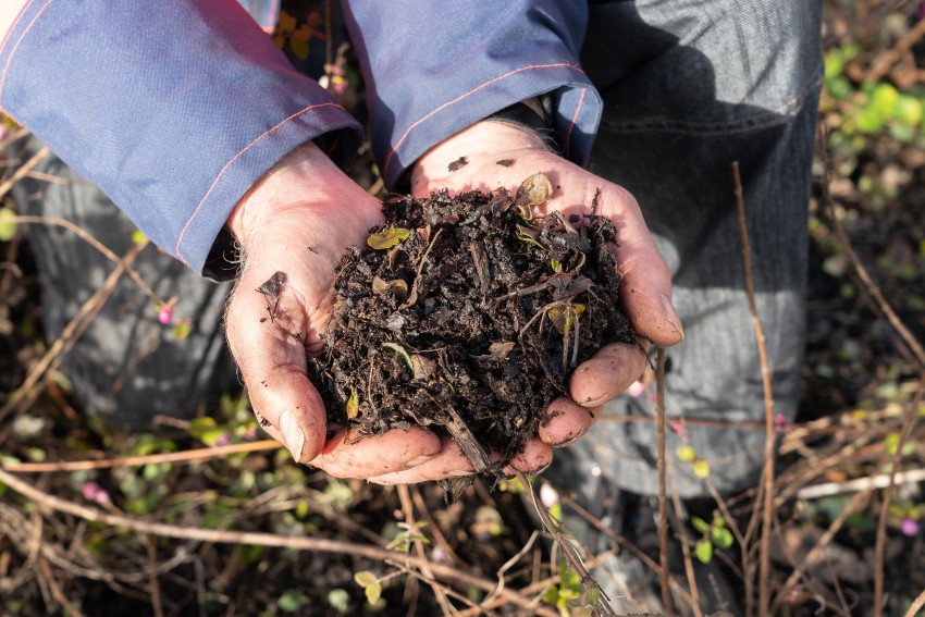 bedrijfsreportage van Het Groenbedrijf in Deventer