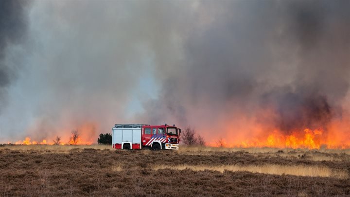natuurbrand