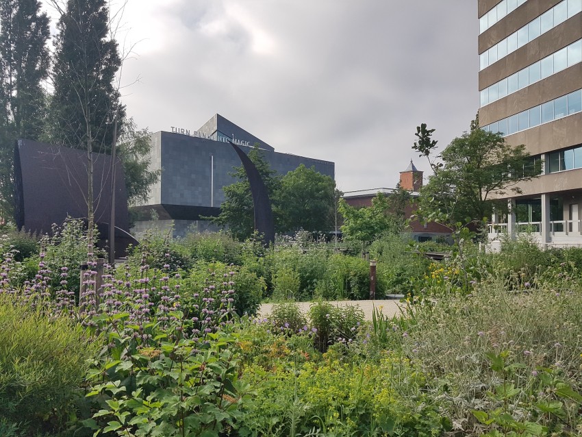 Dommeltuin Eindhoven